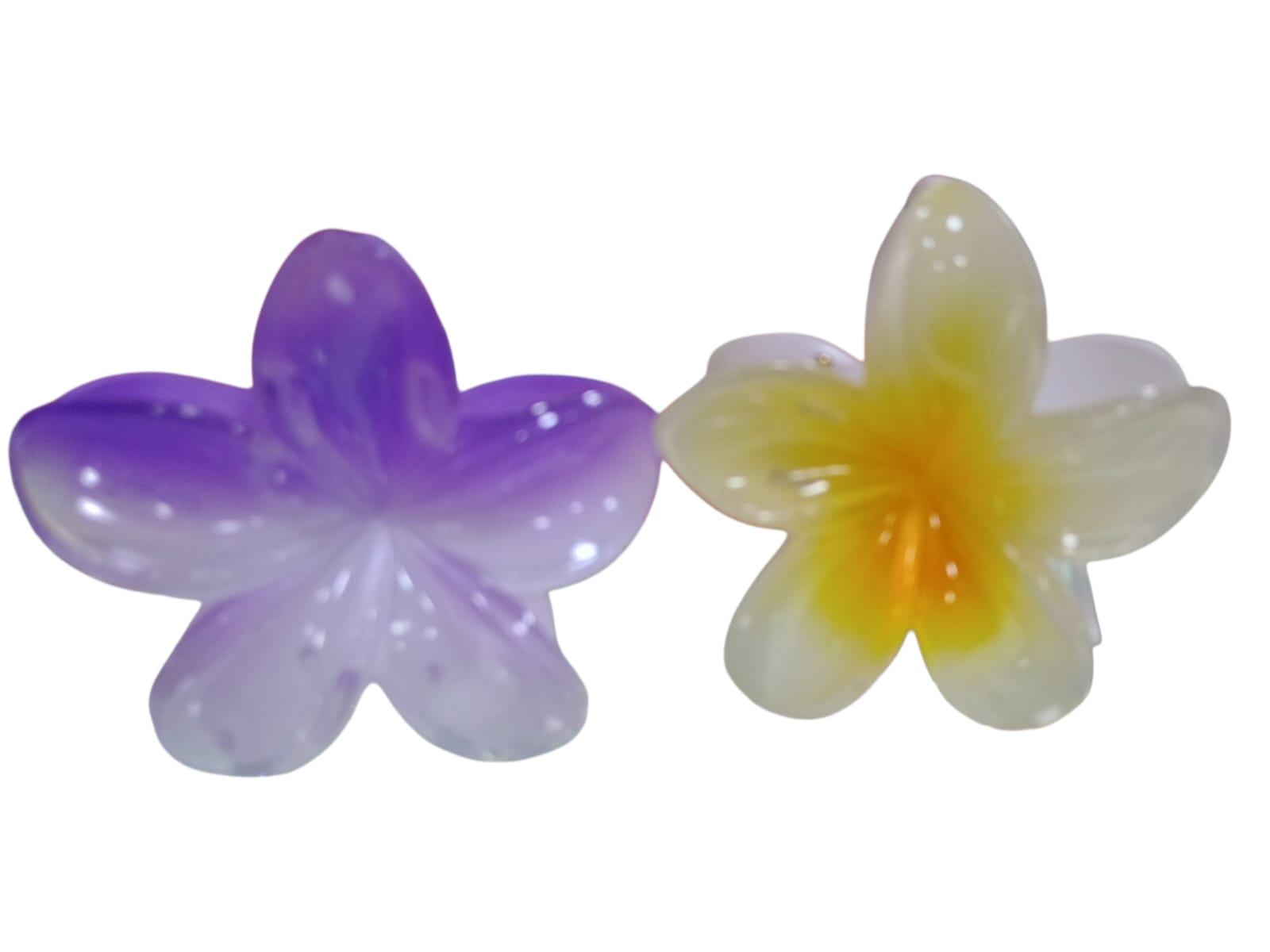 CAIMÁN FLOR GRANDE 1