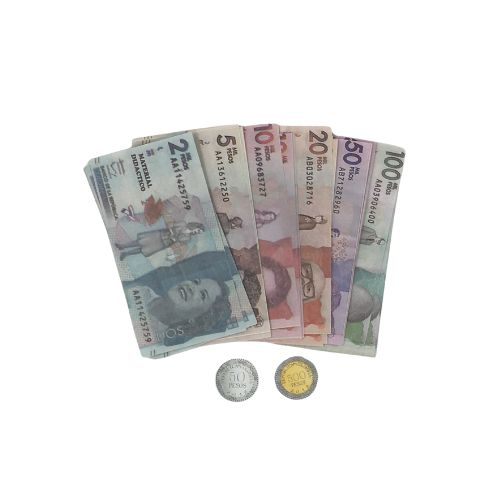BILLETE DIDACTICO X100
