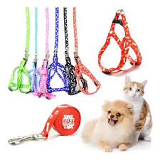 PECHERA PEQUEÑA DE PERRO  1