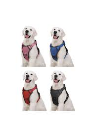 PECHERA MEDIANA IMPORTADA PARA PERRO 1