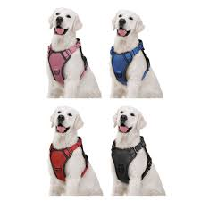 PECHERA MEDIANA NACIONAL  DE PERRO  1