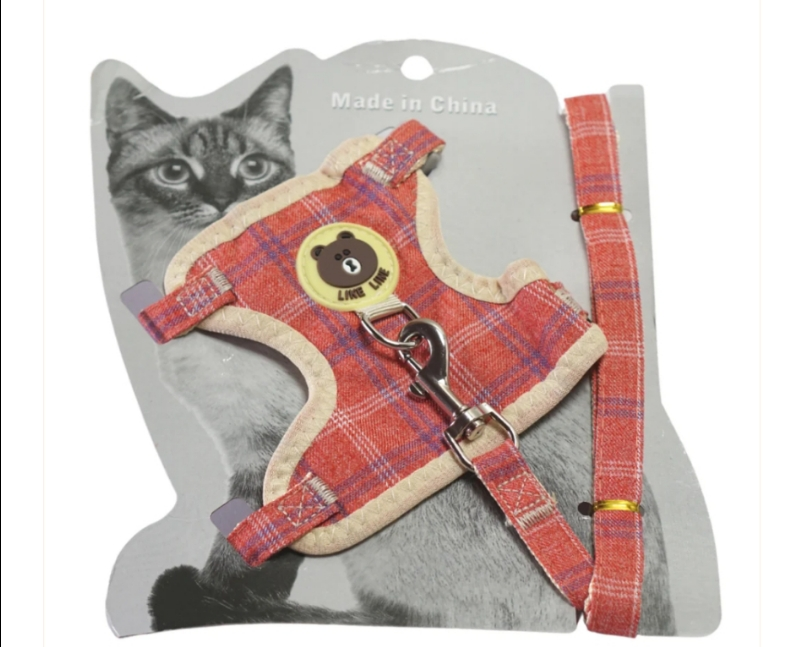 PECHERA DE GATO  1