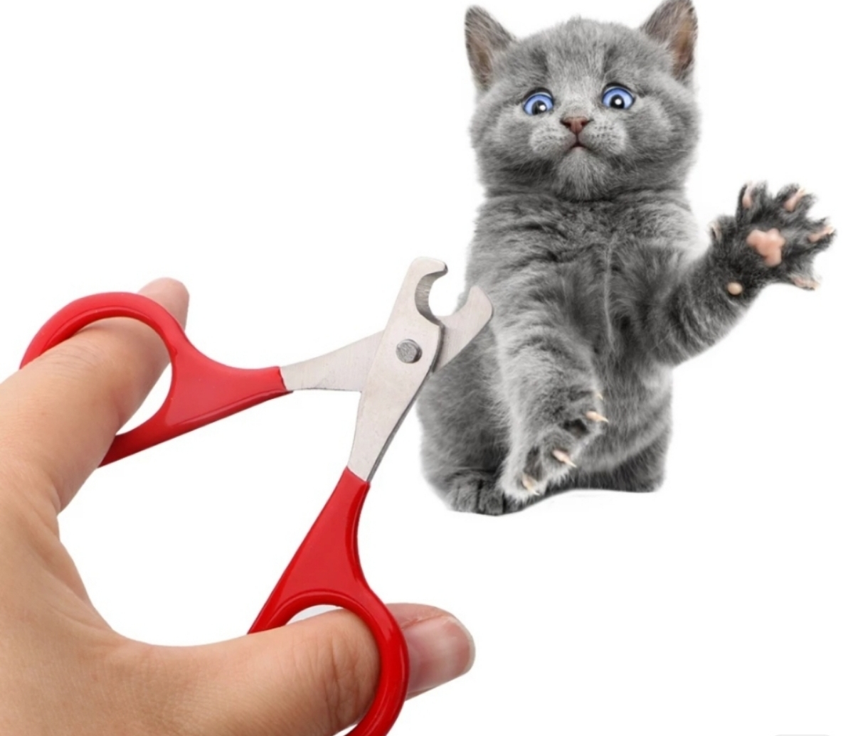 CORTA UÑAS PEQUEÑO PERRO Y GATO 1