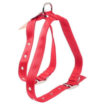 PECHERA DOBLE DE PERRO  1