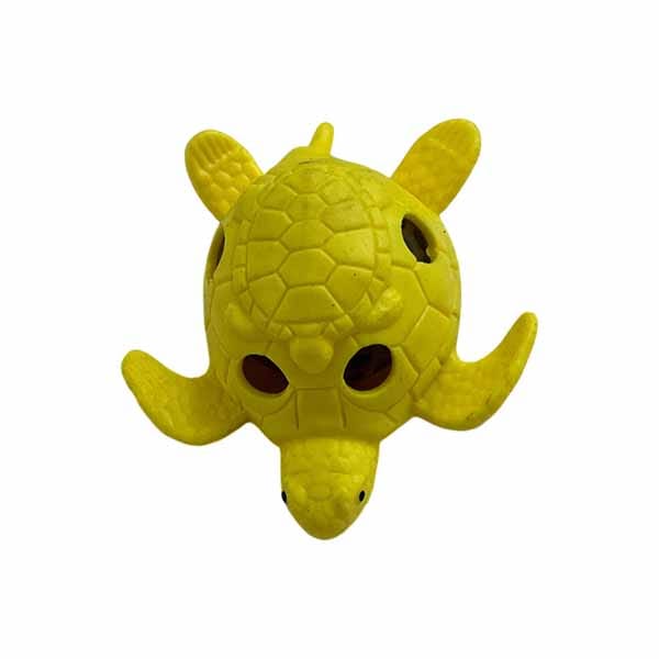 CEREBRO TORTUGA   1