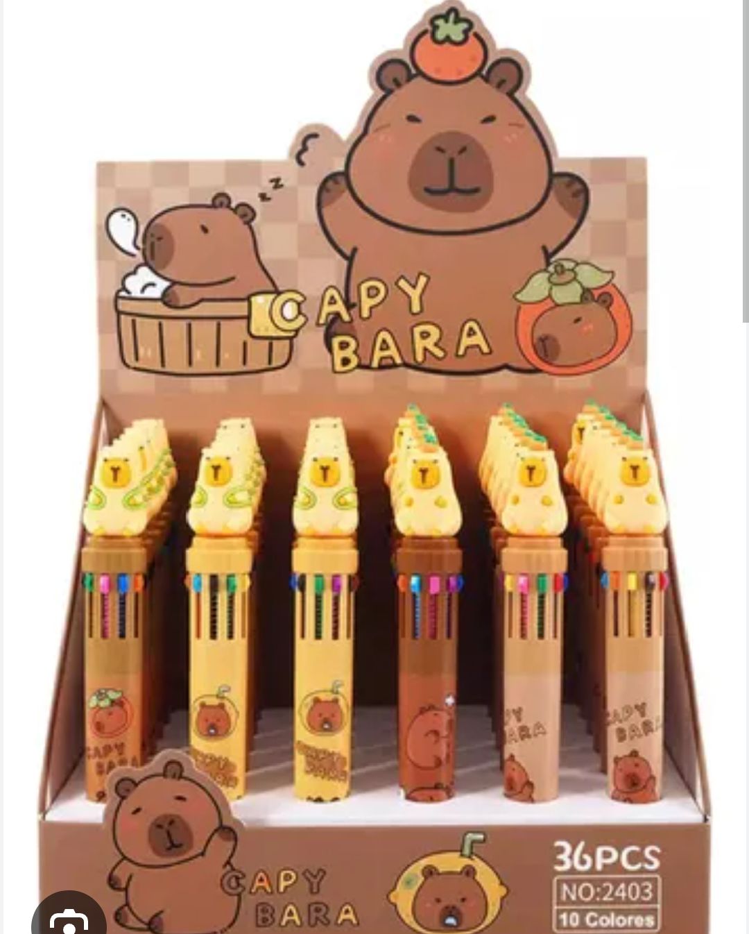 10 MINAS CAPYBARA (CAJAX36)