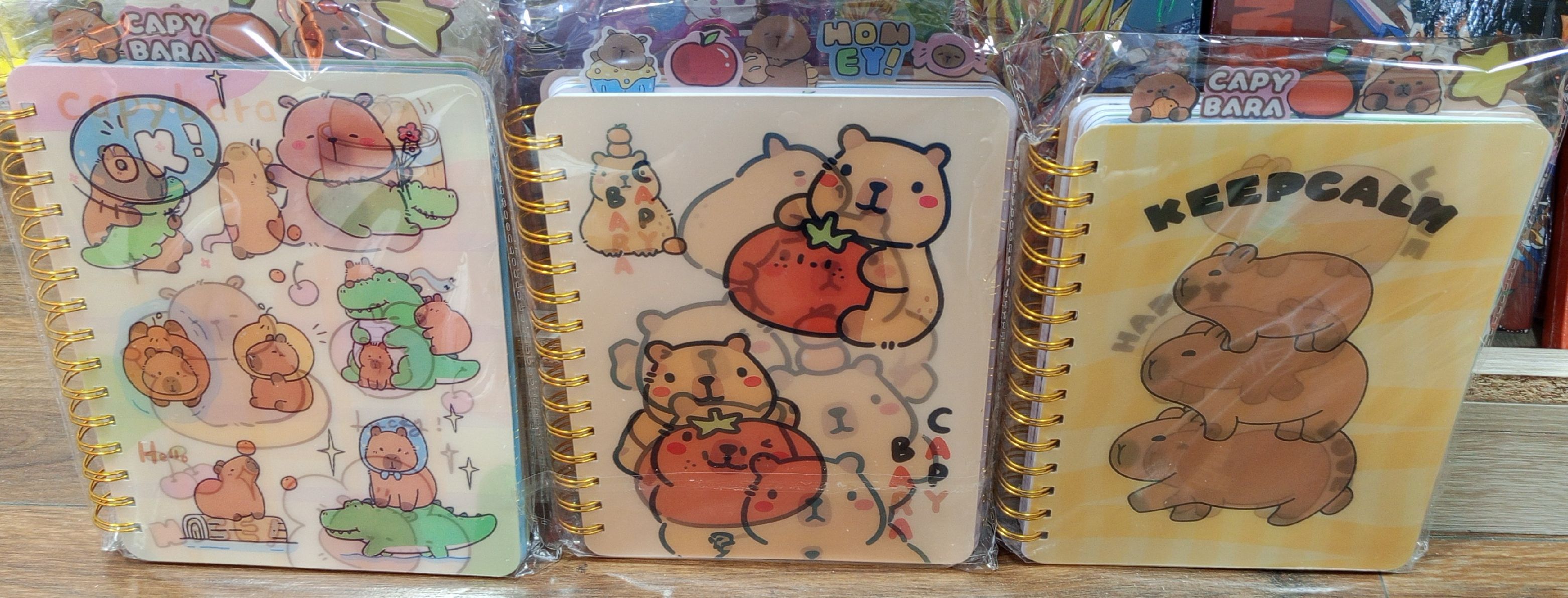 AGENDA HOLOGRAMA CAPYBARA 1