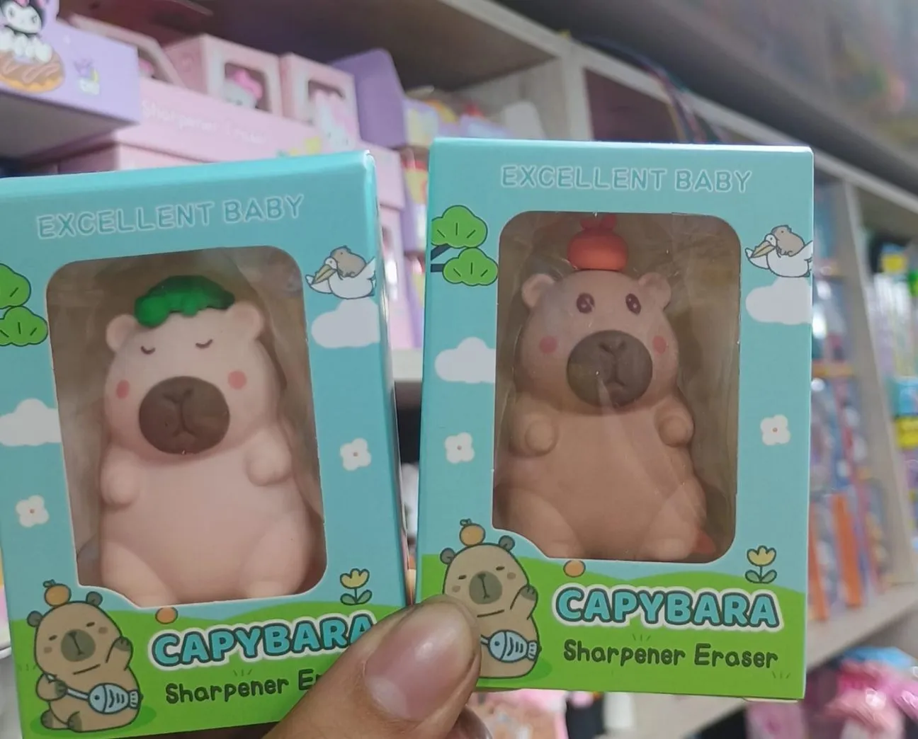 BORRADOR TAJALAPIZ CAPYBARA  1