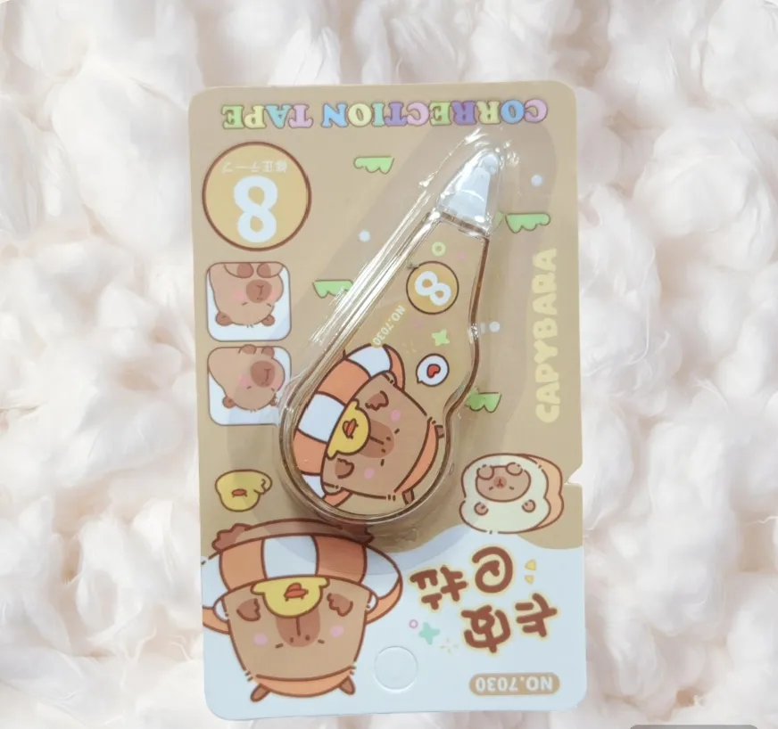 CORRECTOR ENCINTA CAPYBARA X UNO CAJA *48 1
