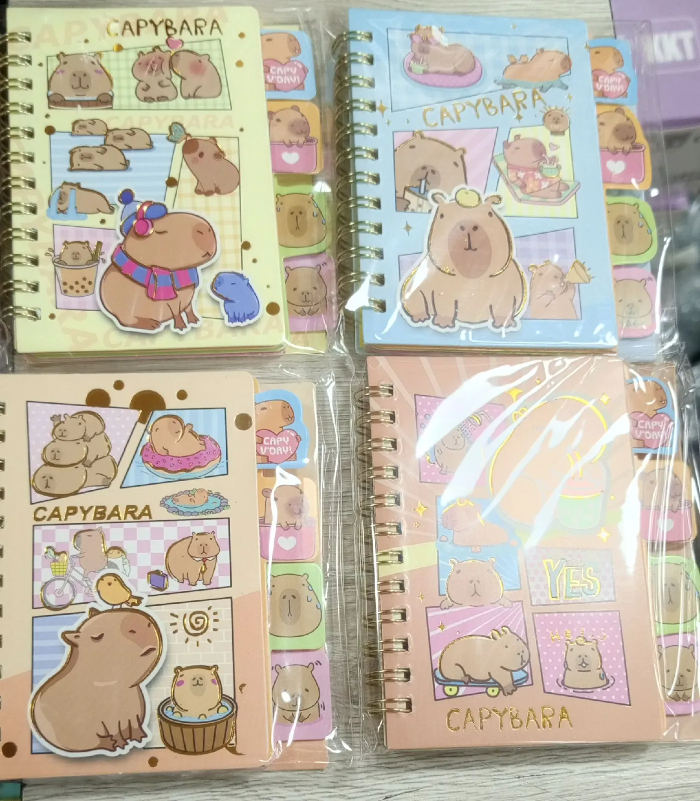 LIBRETA MINI CAPYBARA 1