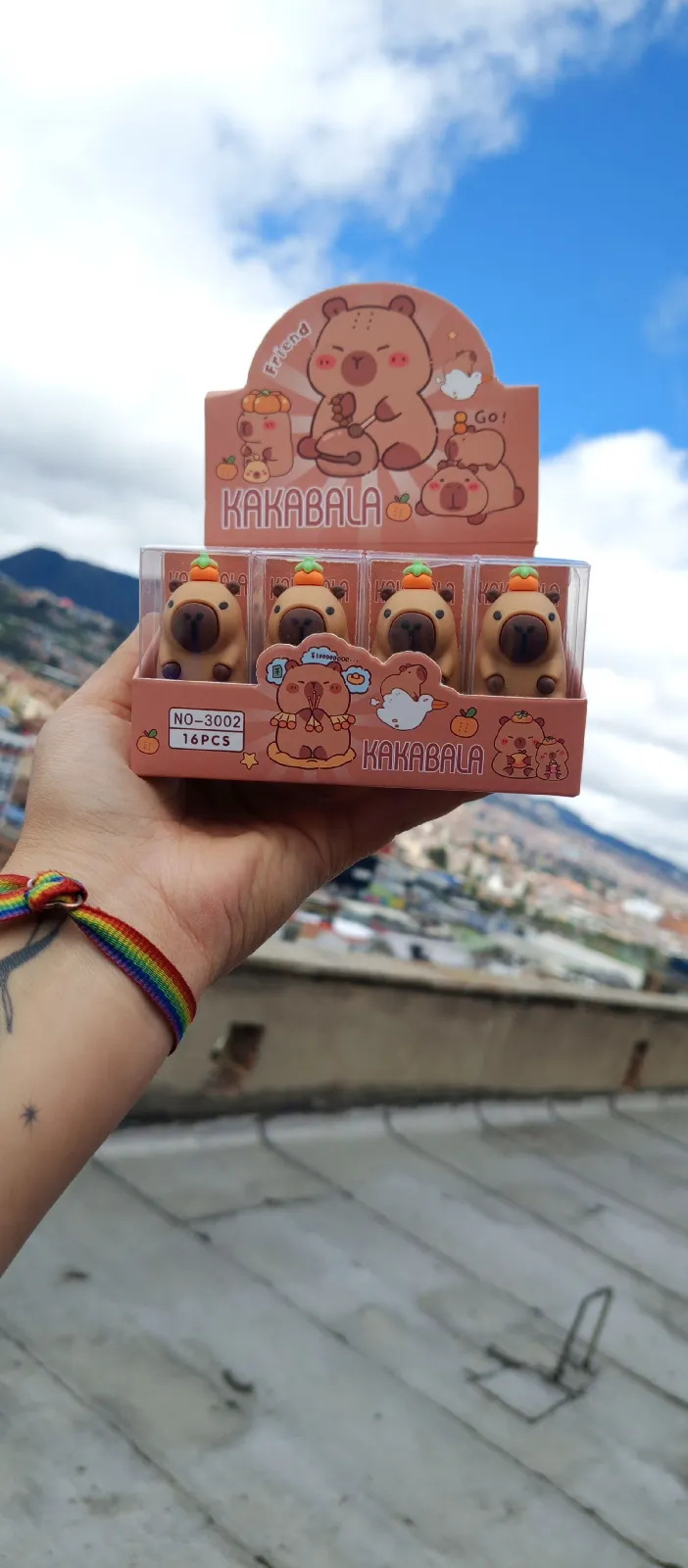 TAJALAPIZ CAPYBARA  1