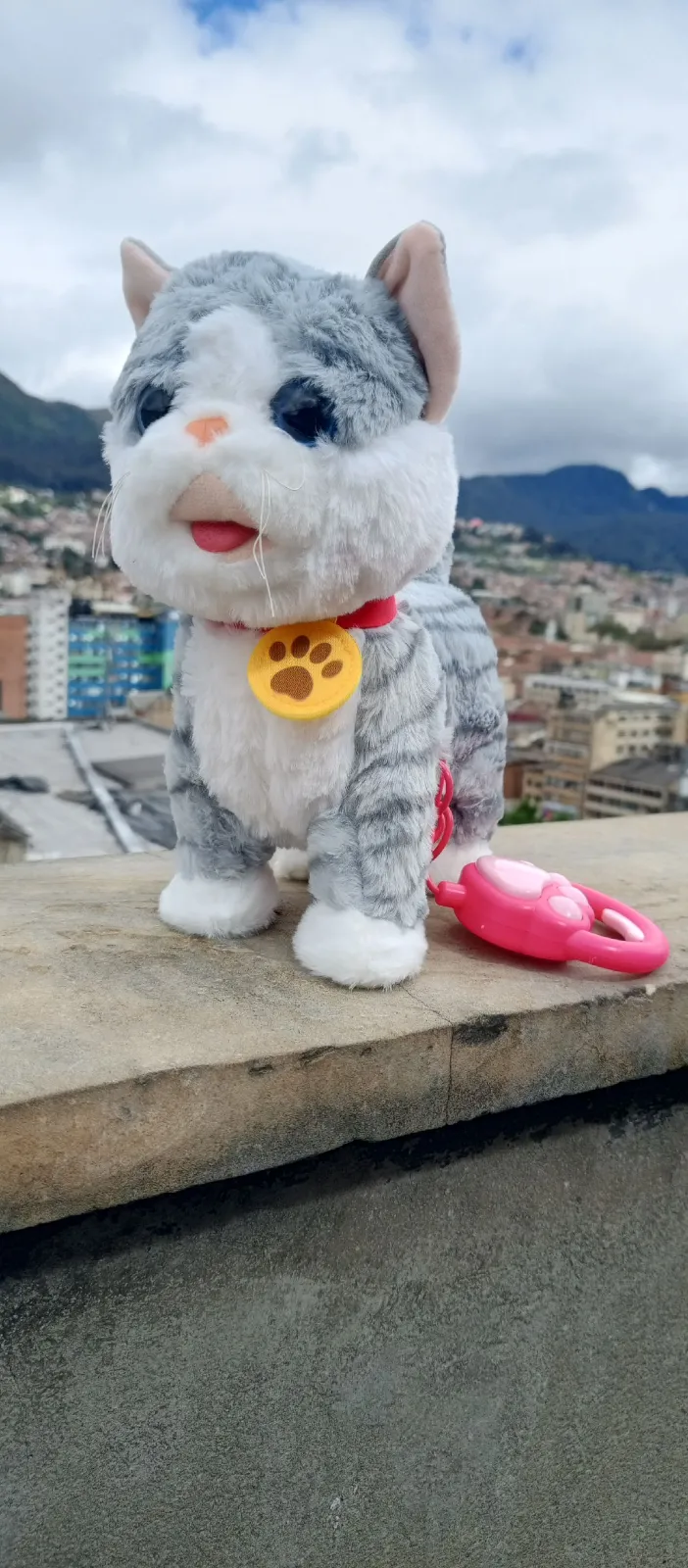 GATO TIERNO ELÉCTRICO PQÑ  1