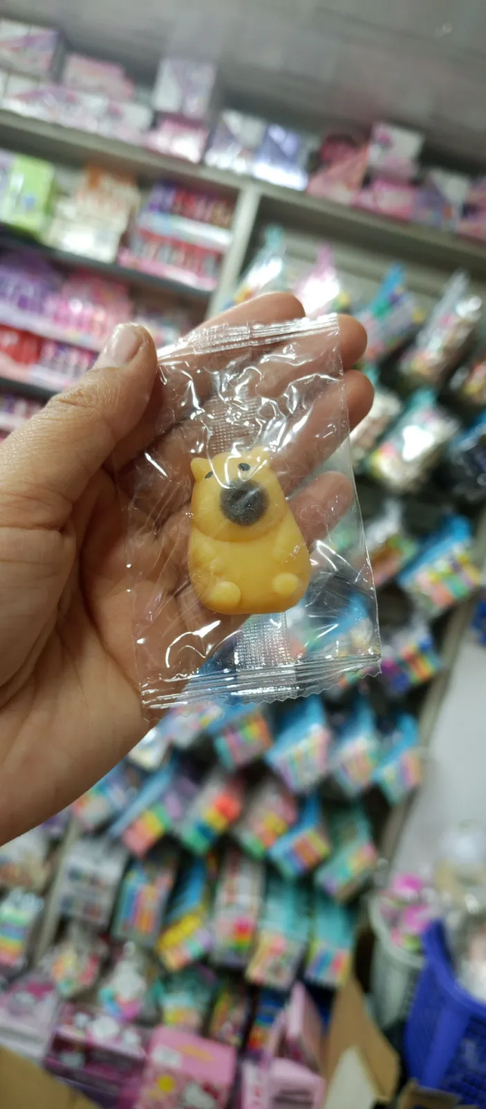MOCHIS CAPYBARA 1