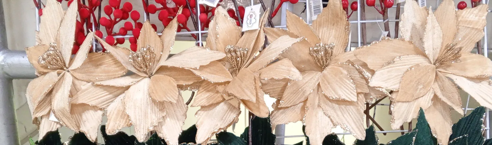 ROSA BEIGE GRANDE 1