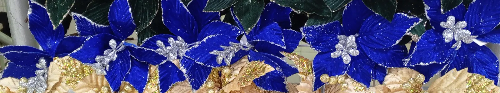 ROSA AZUL 1