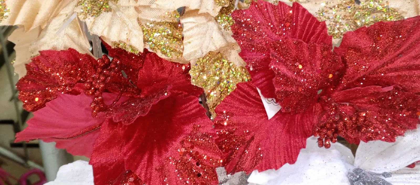 ROSA ROJA GRANDE 1