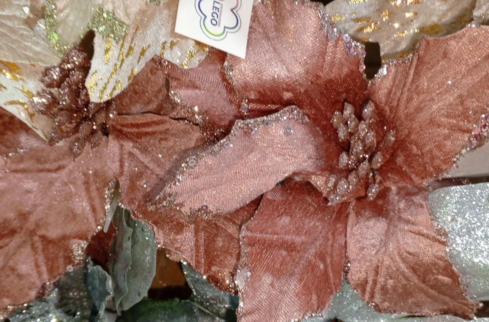 ROSA PALO ROSA GRANDE 1