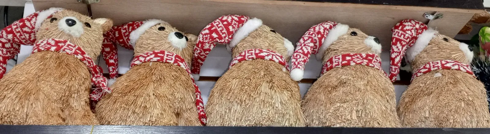 OSO NAVIDEÑO 1