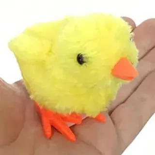 POLLITO  ECONOMICO 1