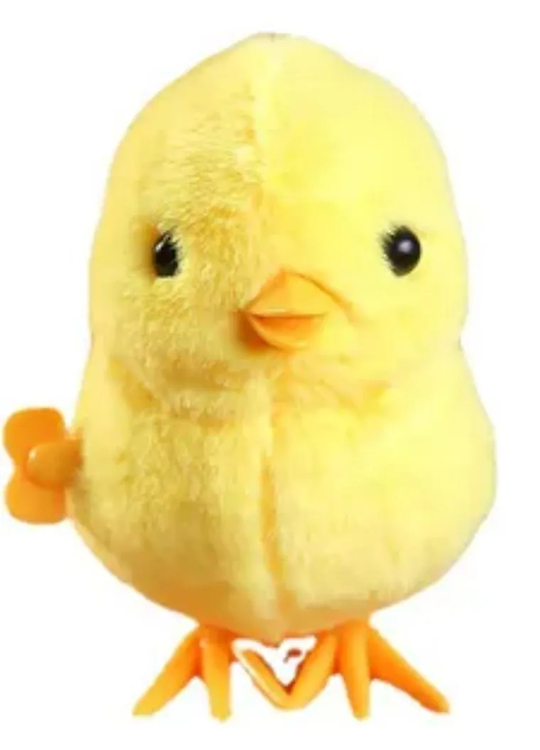 POLLITO CAMINADOR  1