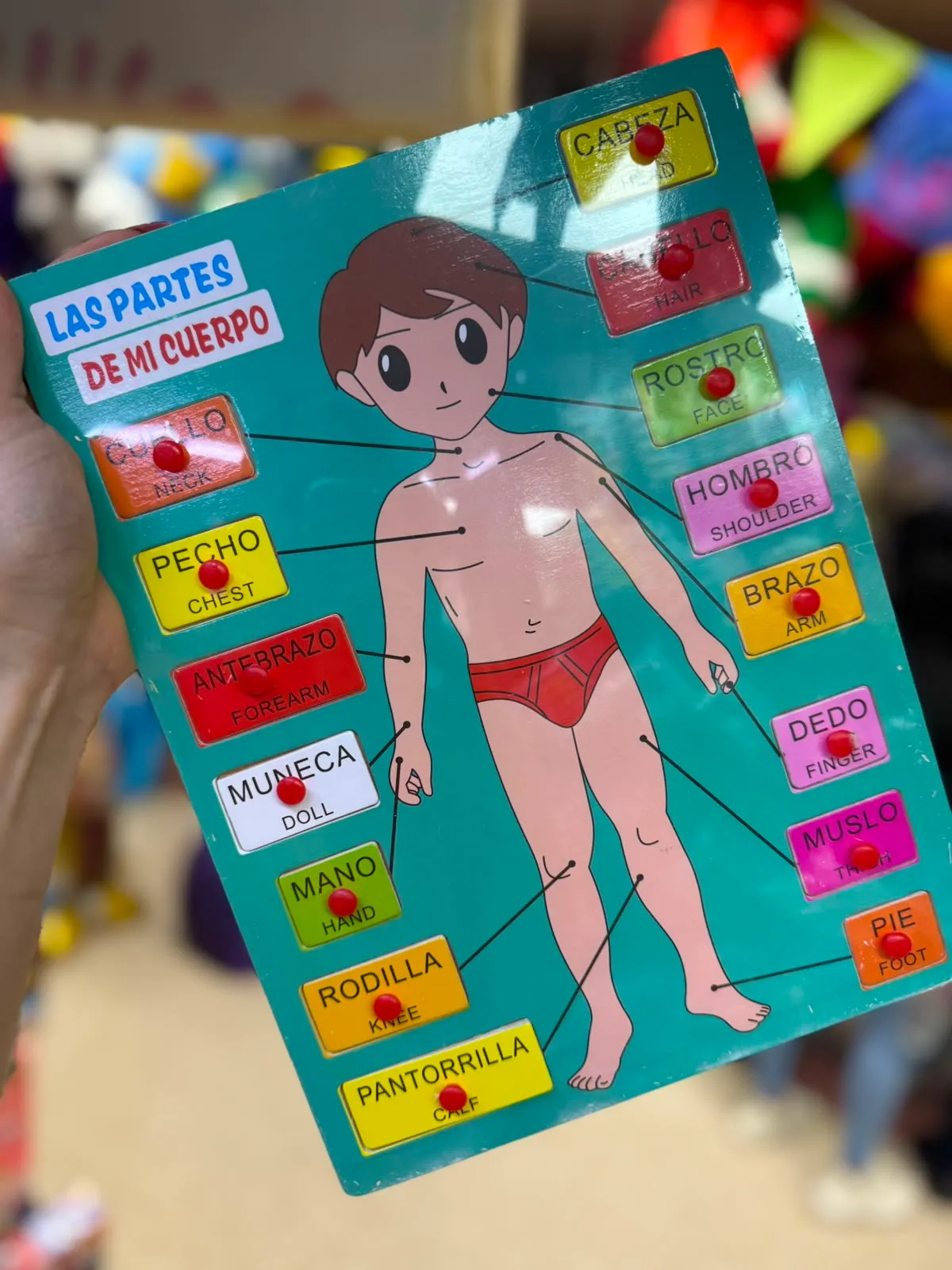 TABLERO DE PIN CUERPO HUMANO 1
