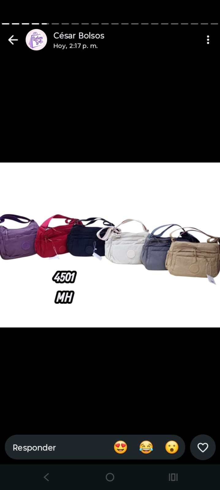 BOLSOS PARA DAMA  1