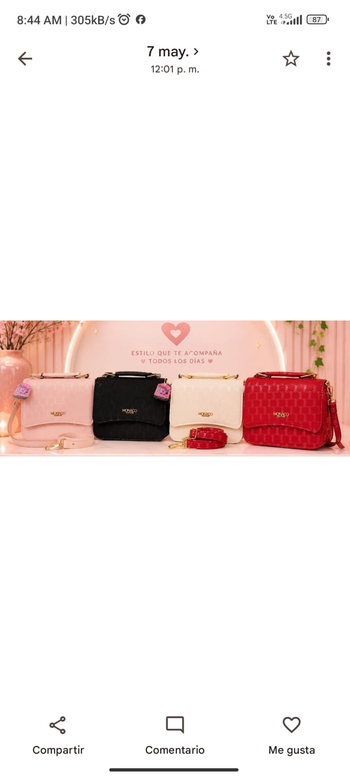 CARTERA PARA DAMA  1