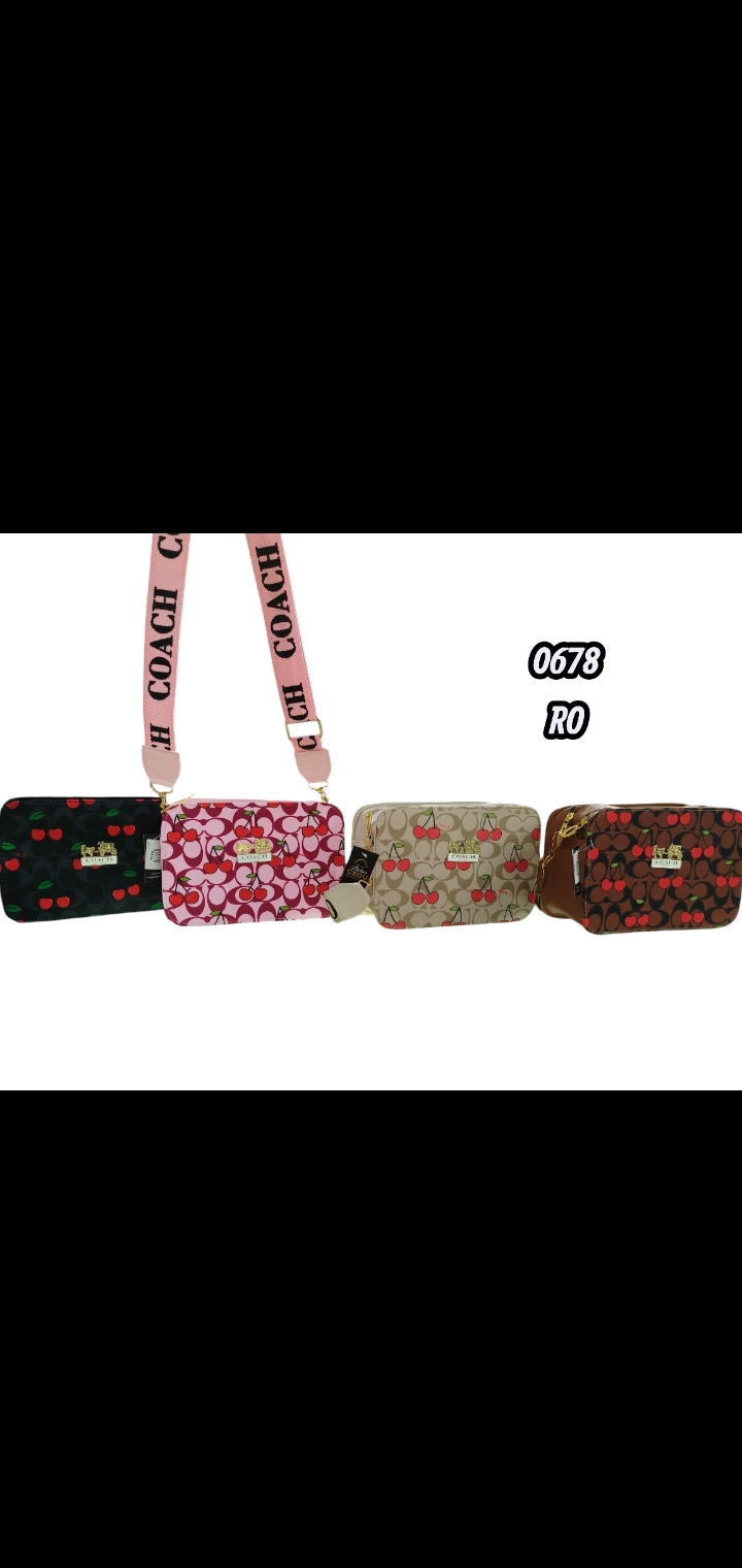 BOLSOS PARA DAMA  1